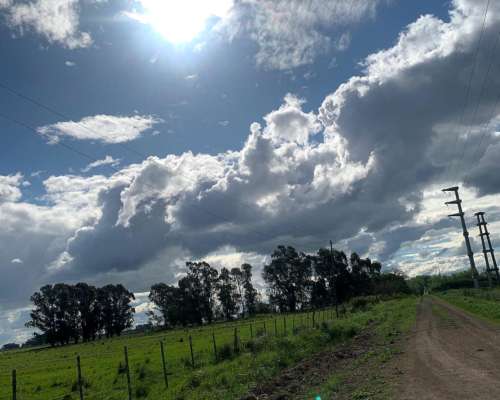 Chacra en Benito Juárez