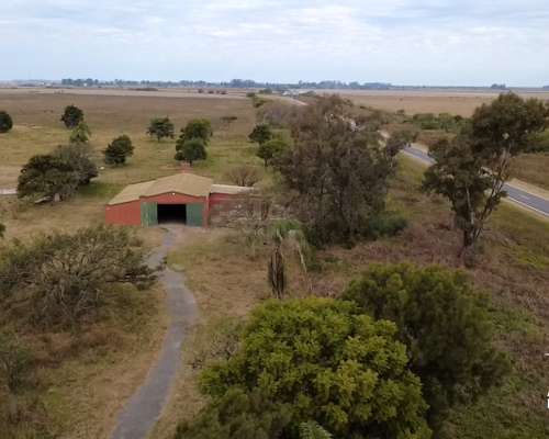 Campo Agrícola de 31,1 Ha en la Pelada, Santa FE