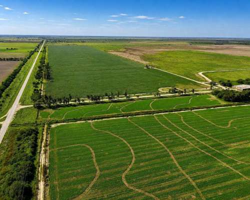 Fernández, Robles, Santiago del Estero - 1.098 Ha