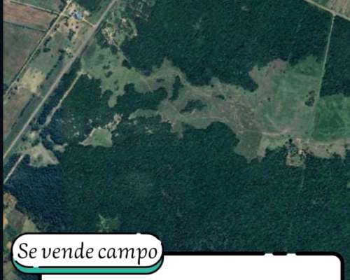 Urgente SE Vende 162 Hectáreas en la Provincia de Formosa