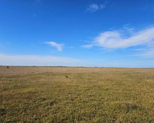 Campo Mixto Venta 90 Ha Saladillo