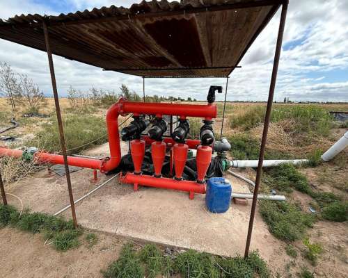 Finca en Venta 57 Hectáreas - Rpn° 24- la Pega Mendoza