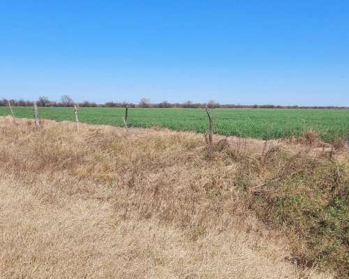 Se Venden 83 Has en Moisés Ville