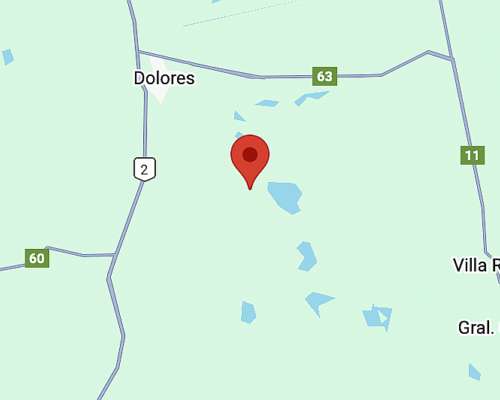 Venta Campo Ganadero 344 Ha - Dolores - Listo P/transferir