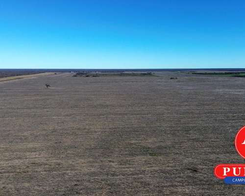 1000 HA. Agrícolas en Alquiler