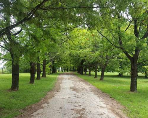 Lindísima Chacra en Excelente Sector de Capilla del Señor