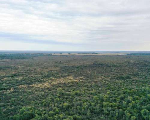 Pcia. de Santiago del Estero - Tapso 1948 Has