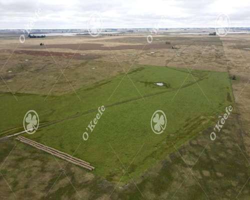 Campo en Venta de 175 Has en Chascomus. Mixto