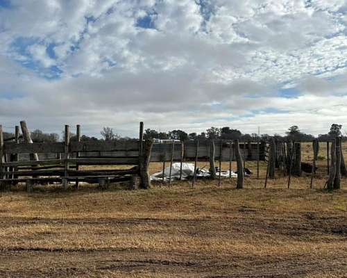 Lote Quinta Oportunidad Villa Maza (adolfo Alsina) Ruta 14