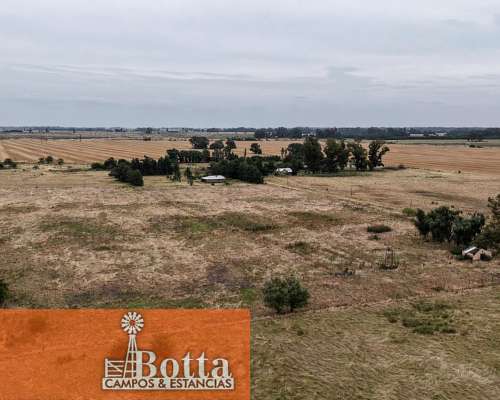 5has en Venta en Mercedes, Provincia de Buenos Aires