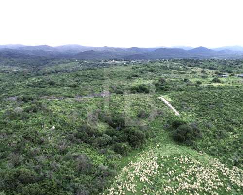 Campo 12 HA, Falda del Carmen