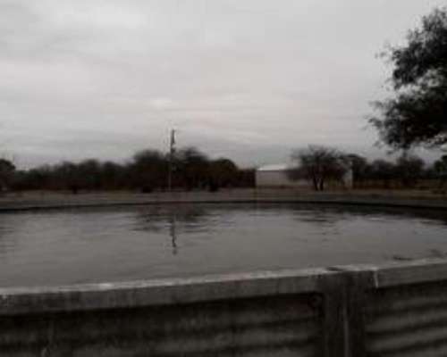 Campo Baviano la PAZ