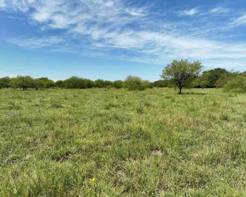 Pcia. de Corrientes - Sauce 1076 Ha