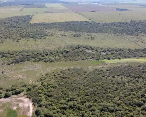 Alquiler Campo Ganadero de 92,56 Ha en Grutly
