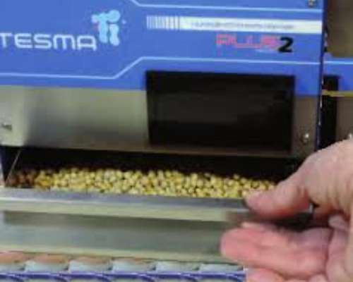 Humedimetro Tesma Plus 2