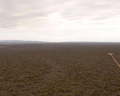 Pcia. de Salta - el Quebrachal 645 Has