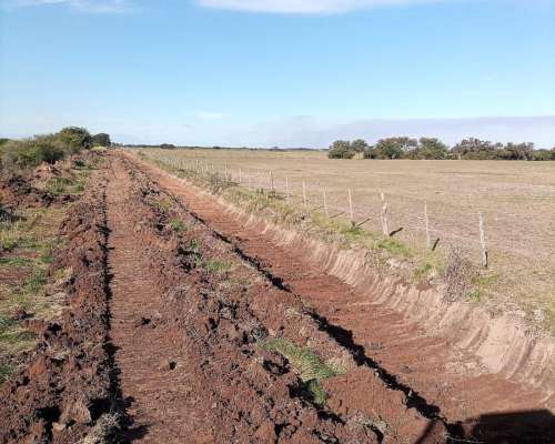 Movimiento de Suelos/ Excavaciones, Levantes, Limpiezas