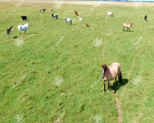 Campo Mixto en Venta 686 Has en San Vicente