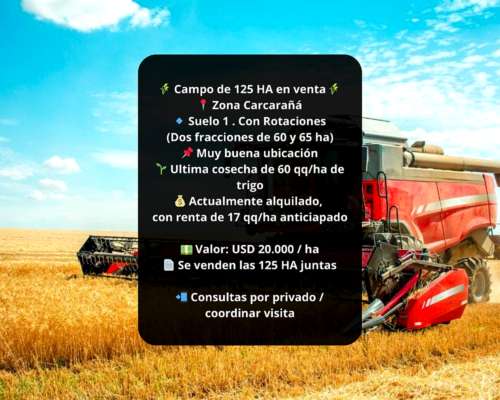 Campo Agricola en Venta de 125 Ha en Carcarañá