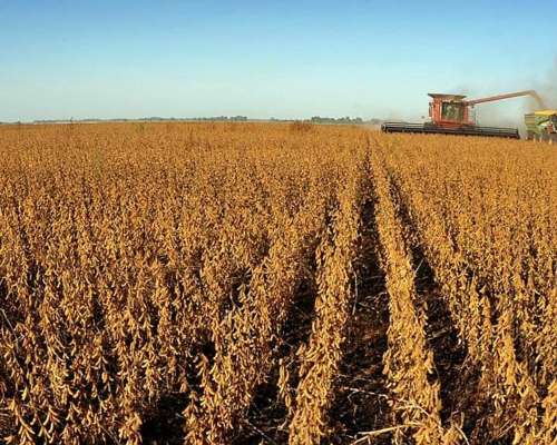 Ecxcelente Campo Agricola en Cordoba