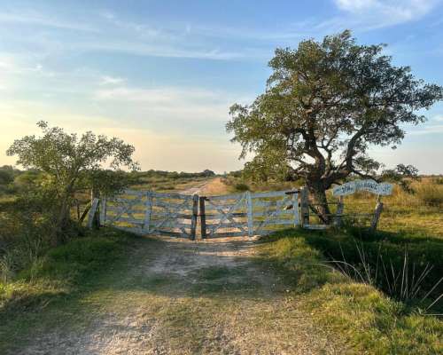 Ganadería, Helvecia, Exelente Ubicación.