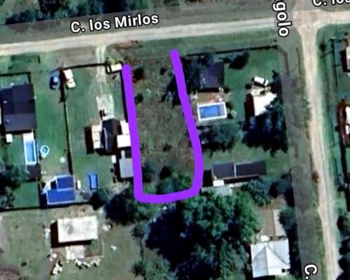 Oportunidad Real 💥 Vendo Lote en los Mirlos 420 – 🌳monte
