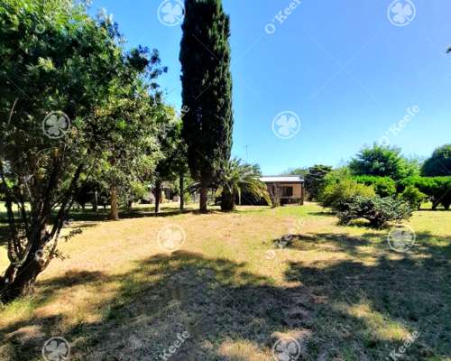 Chacra en Venta de 3,5 Has en Arturo Segui