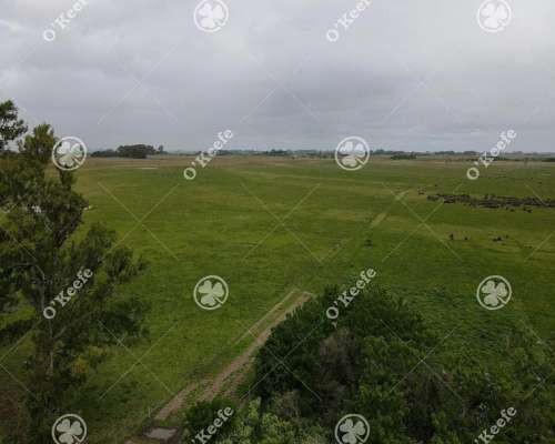 Campo en Venta de 450 Has en Magdalena. Mixto