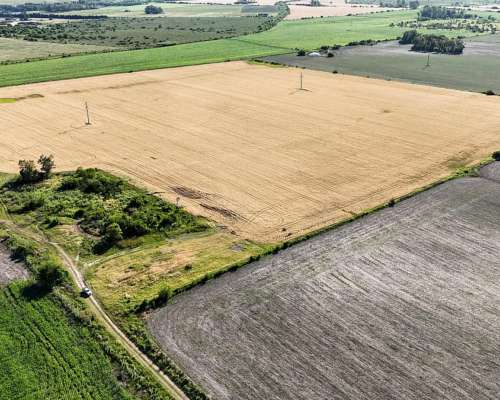 Campo Agrícola Apto Granja