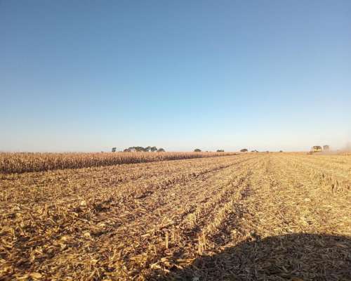 450 Ha en Venta Norte de Córdoba