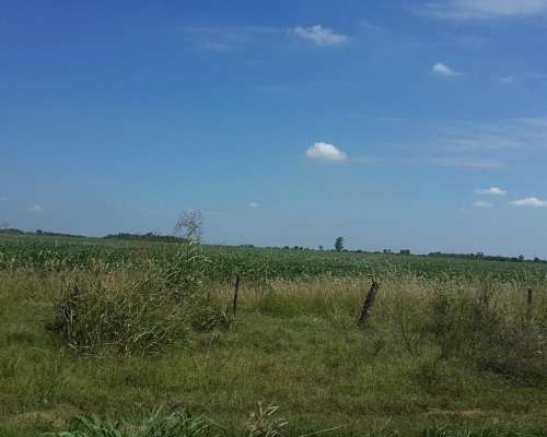 Campo Largo y Corzuela Campaso