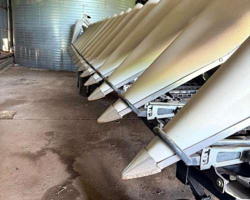 Maicero Premium de 18 a 52,5 - año 2020