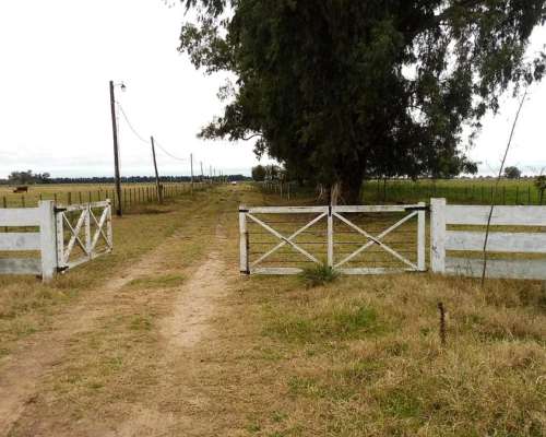 Marcos PAZ , G.b.a. Zona Oeste, Argentina