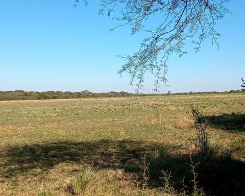 300 Ha Mixtas. Rosario del Tala