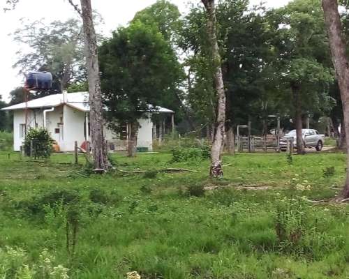 Venta Campo Mixto en Formosa - Pirane
