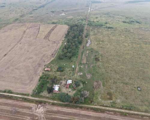 878 HA. Ganadero, Cria. Depto, San Martin (santa FE)
