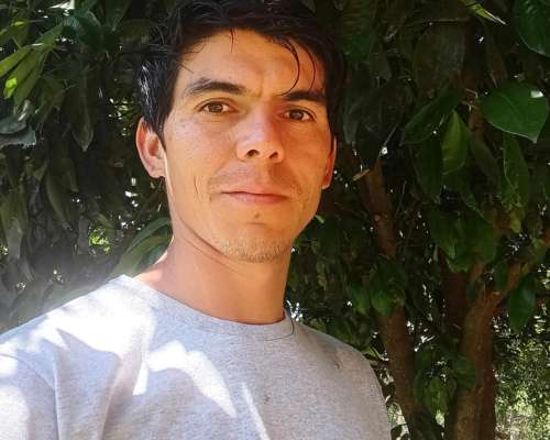 Albañilería, Mantenimiento Otros