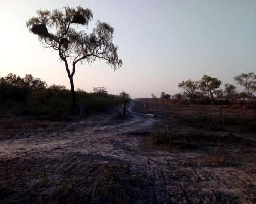Campo Pozo del Mortero(formosa) 22k al Sur.sobre Ruta Prov.