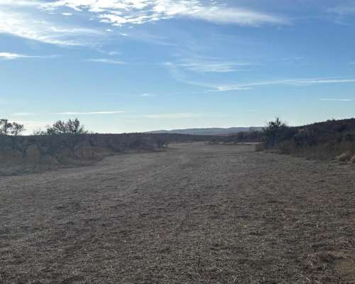 Campo Mixto Zona Berrotaran.-
