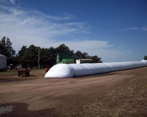 Campo Agrícola, Sobre Acuífero Dulce, Puan Prov BS AS