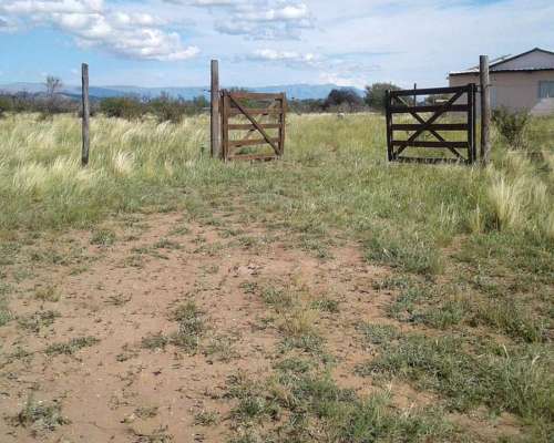 Campo Tipo Granja para Emprender