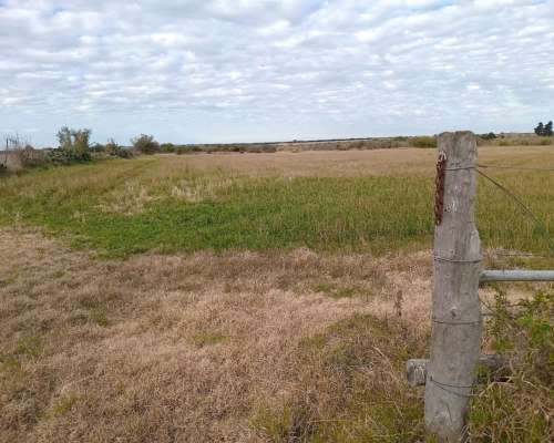 165 Ha Guardamontes. Buen Acceso. Campo Mixto