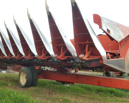 Cabezal Maicero Marca Mainero Mod 2000 de 8 Surcos a 70cm