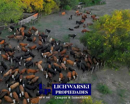Campo Mixto Sobre Río Gral José de San Martín, Chaco