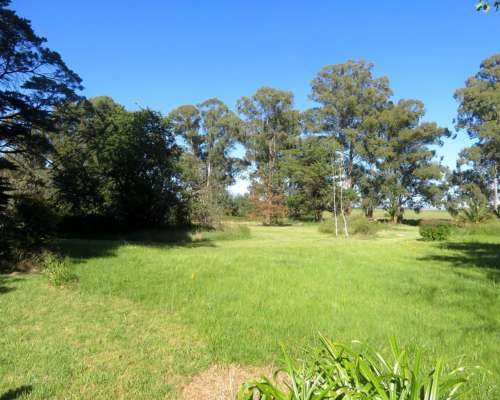 Dorbigny - 80 Ha - Buenos Aires