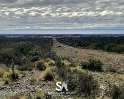 Vende: Campo Ganadero de 2010 Hectáreas en General Acha, DEP