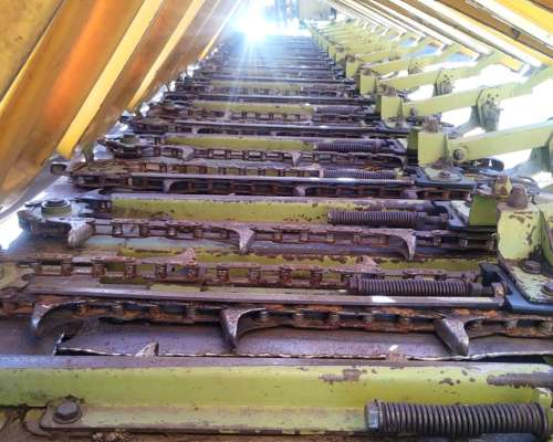 Maicero Allochis 14 a 52 cm con Molinete año 2014