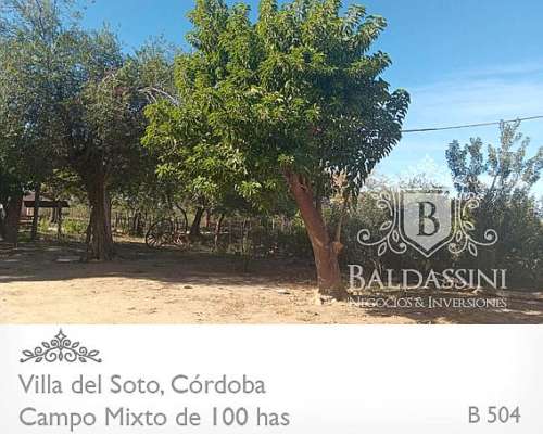 Campo Mixto - Villa del Soto - Córdoba - 100 Has