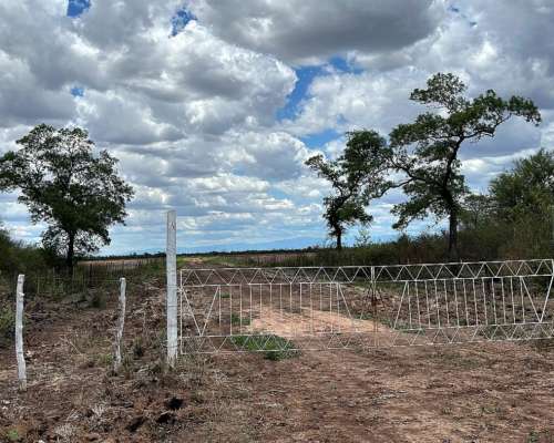Las Lajitas, Salta - 1330 Has
