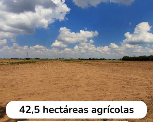 Campo Agrícola de 42,5 Hectáreas